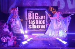 Photos by Michael Troutman (352/365)